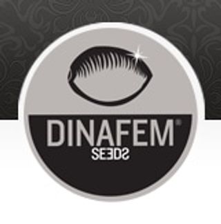 Dinafem Coupons & Promo Codes